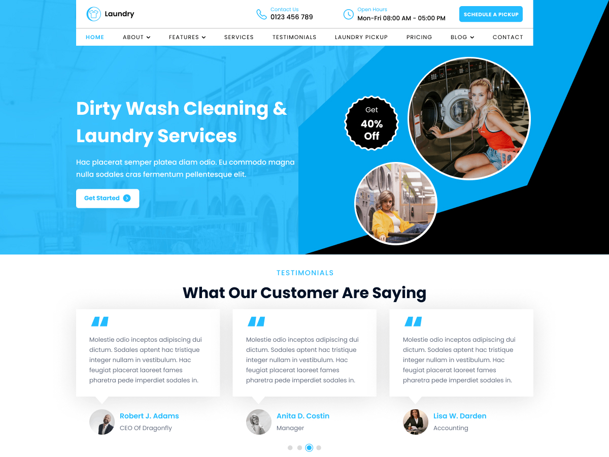 Laundry Services WordPress Theme