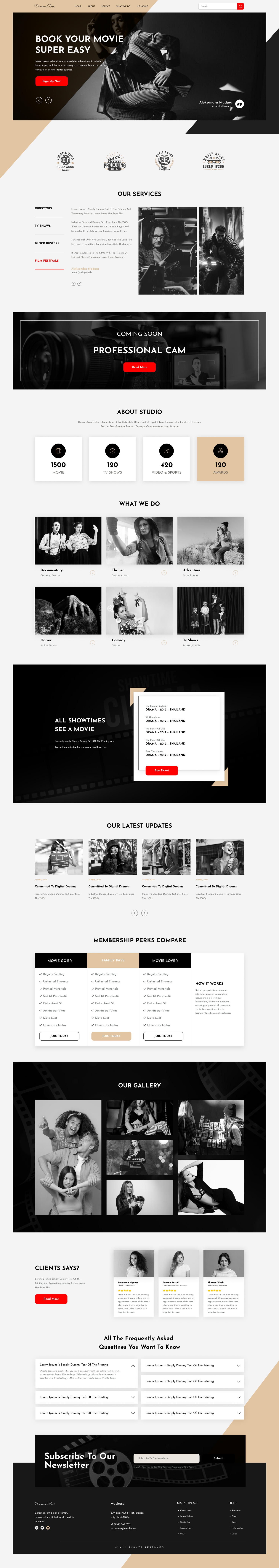 Movie Review WordPress Theme