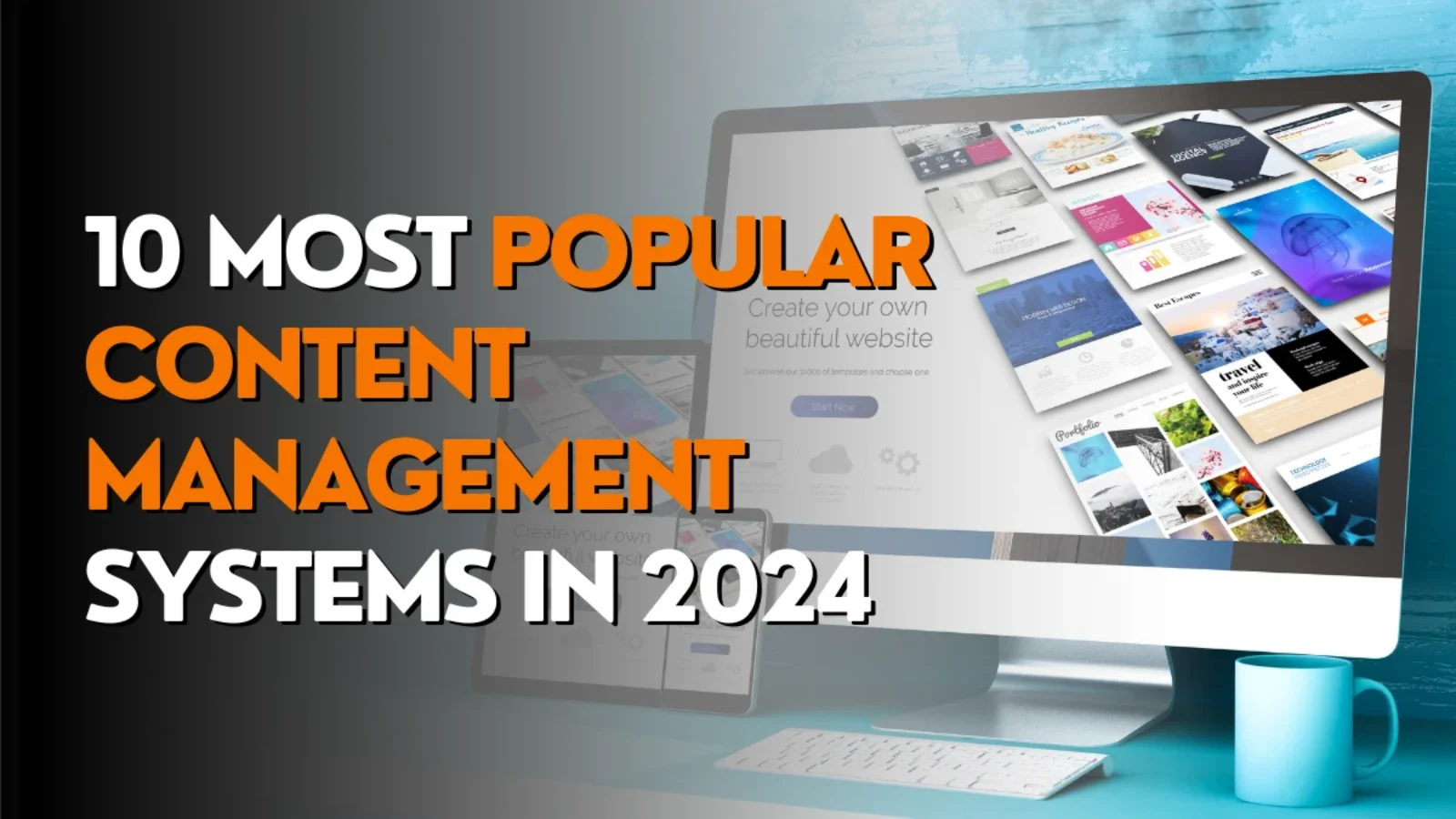10 Most Popular Content Management Systems in 2024